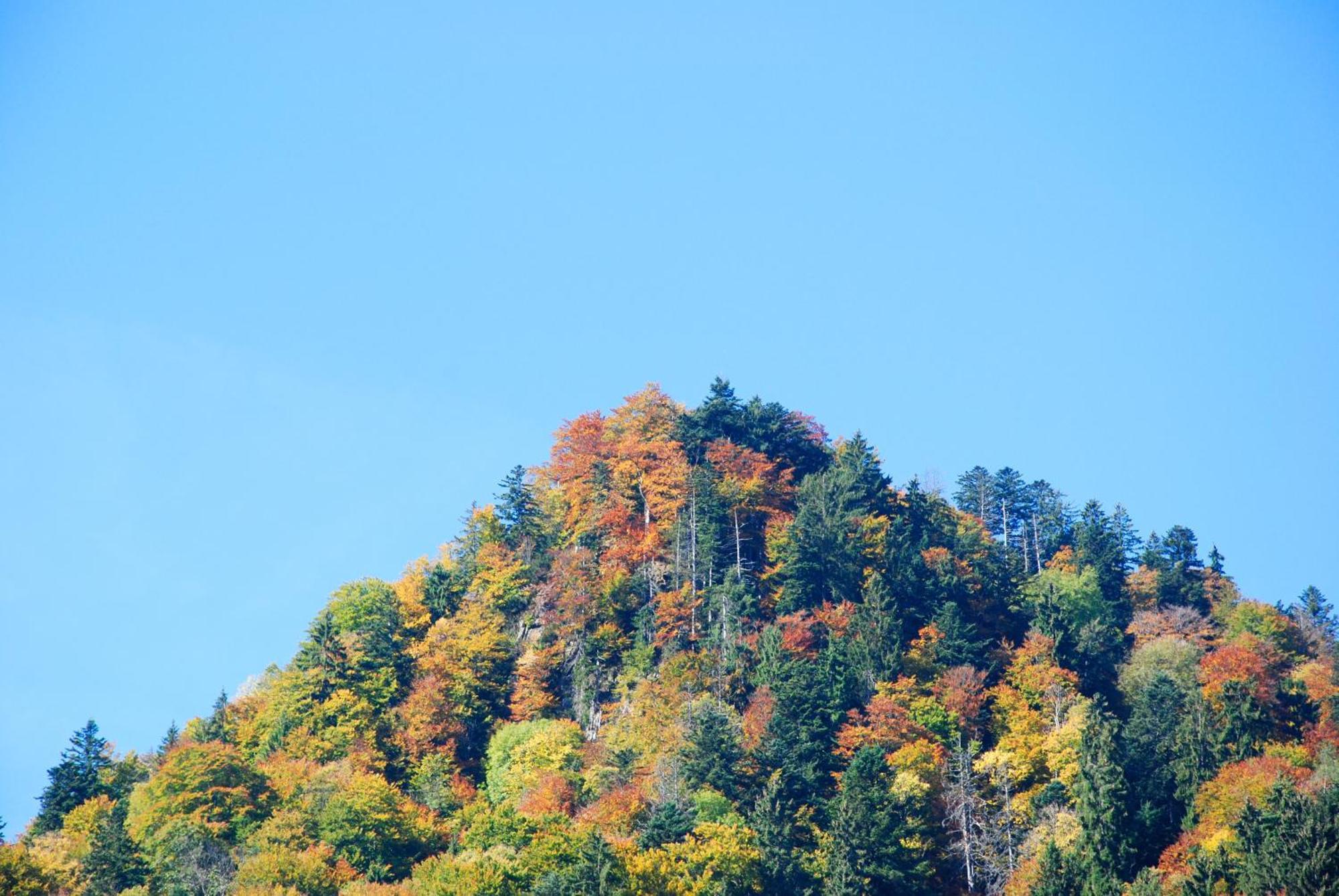 Gaestehaus Schroeder Ruhpolding Dış mekan fotoğraf