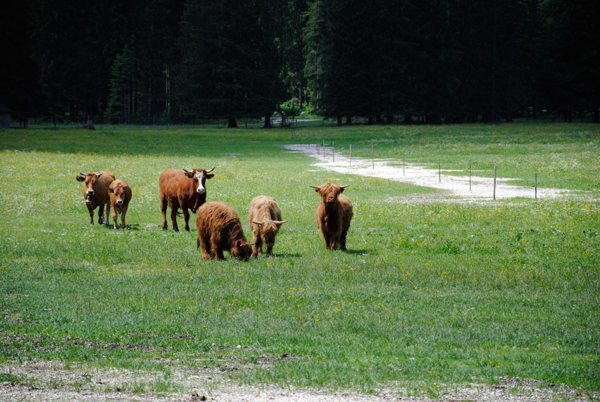 Gaestehaus Schroeder Ruhpolding Dış mekan fotoğraf