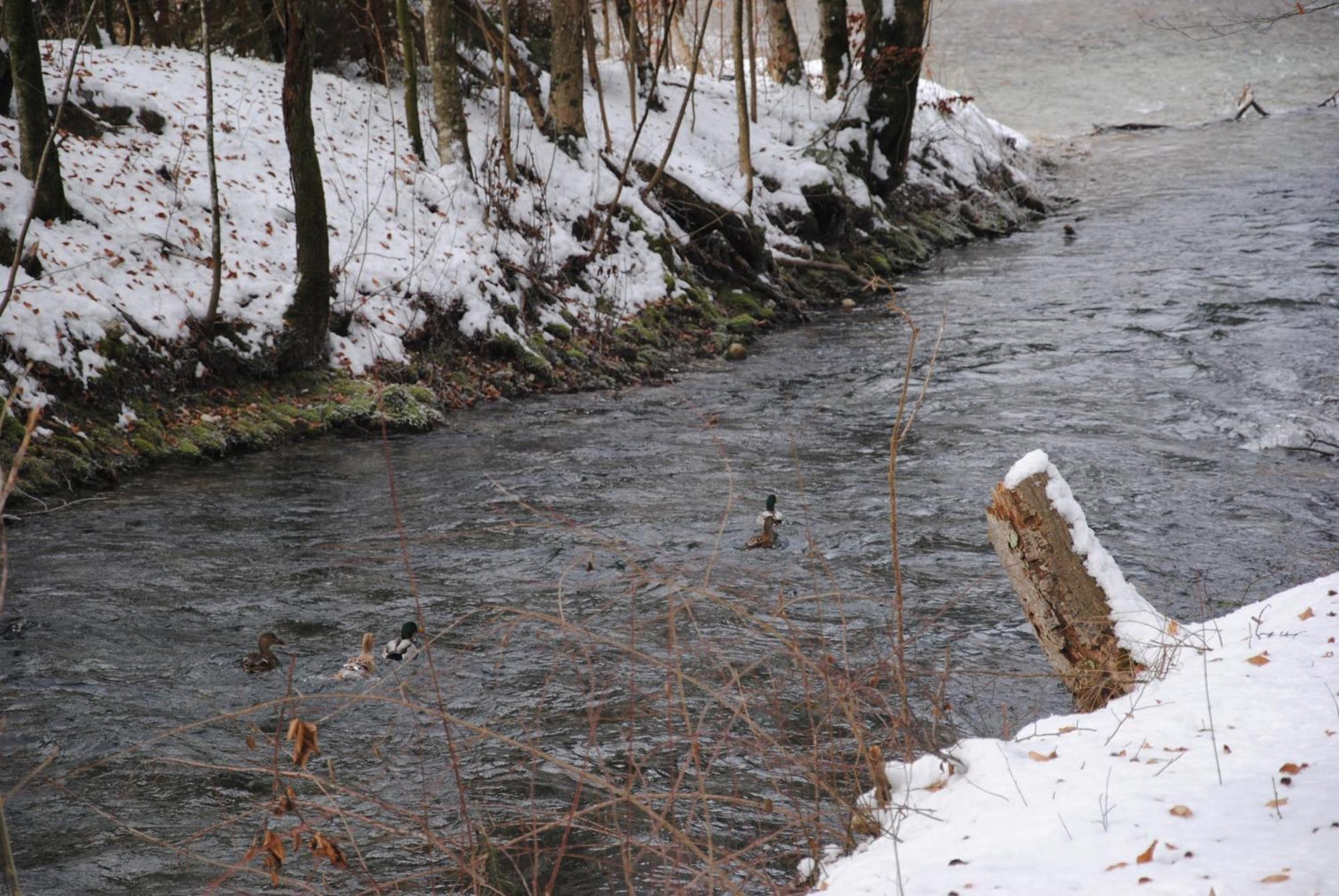 Gaestehaus Schroeder Ruhpolding Dış mekan fotoğraf
