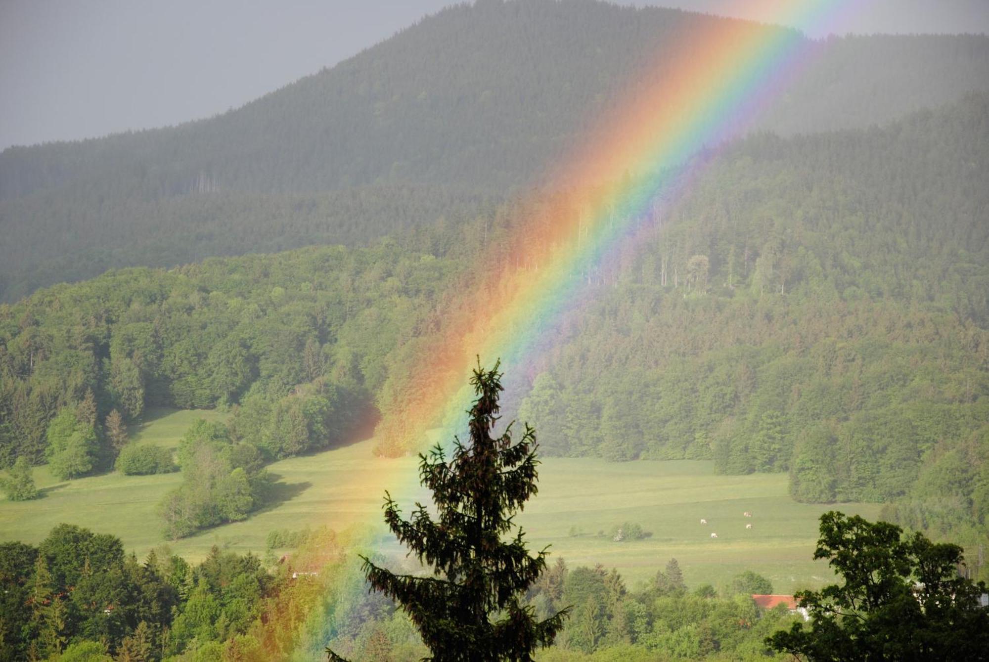 Gaestehaus Schroeder Ruhpolding Dış mekan fotoğraf